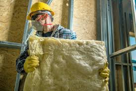 Best Insulation Removal  in Morgantown, WV